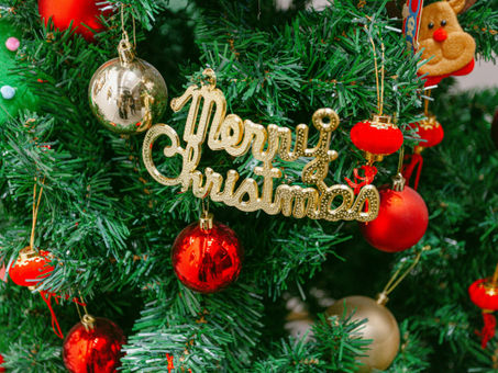 Happy Winter Solstice | CAEF Special Bulletin, Dec 22, 2025