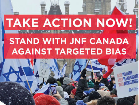 Taking Action | CAEF Bulletin, August 20, 2024