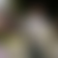 Officieel of ceremonieel trouwen: Wat is het verschil (en wat past bij jullie)?