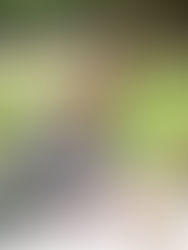 Persoonlijke trouwceremonie: zo maak je het écht jullie verhaal | Trouwambtenaar met humor