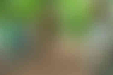 Trouwen met een persoonlijke ceremonie