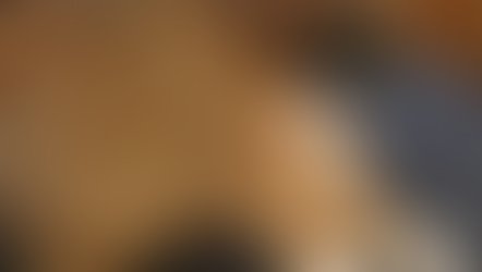 Carolina Animal Network