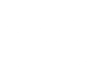 OFFICIAL SELECTION - 2023 Directors Circle Festival of Shorts - 2022.png