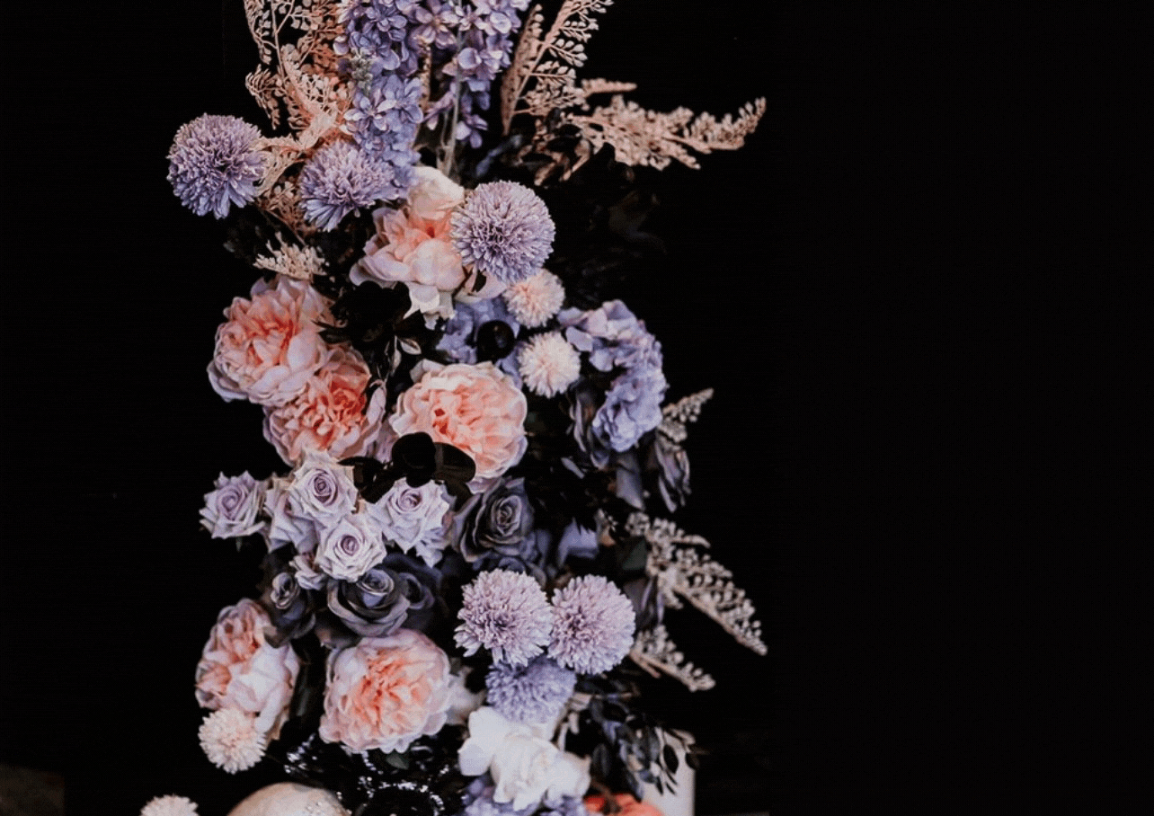 Softblush Beauty.gif