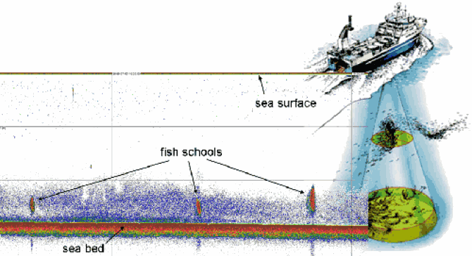 Echogram, Biomass, Channel Islands, whale watching, Whales & Co