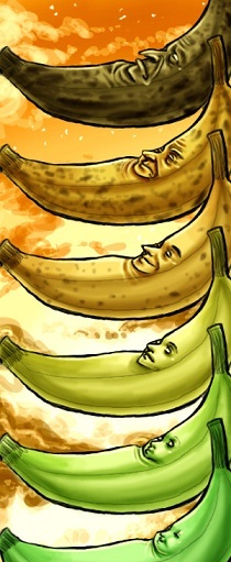 Bananas