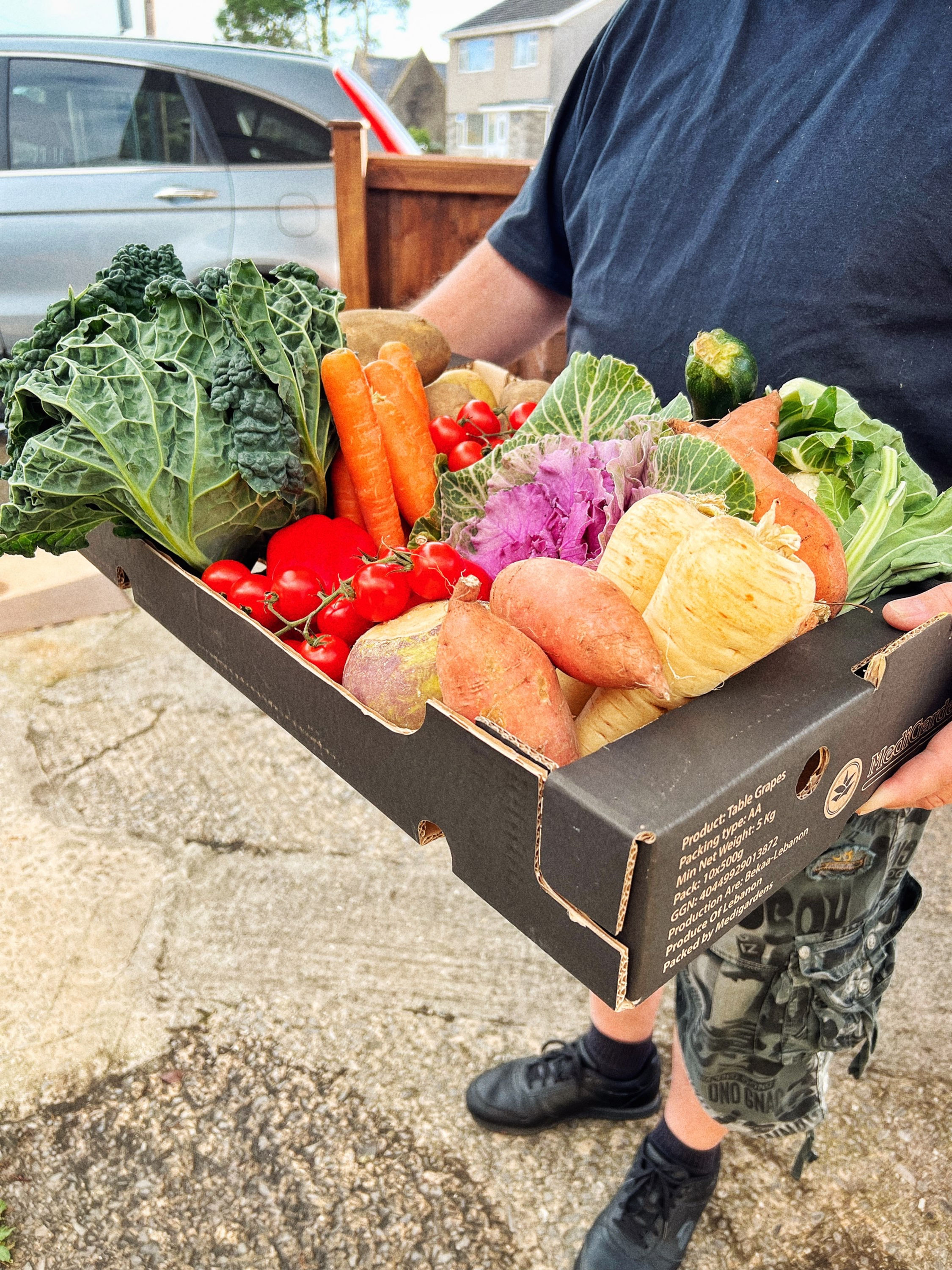 Large Fruit & Veg Box