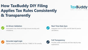 How DIY Filing Tools Interpret Your Data — and What They Don’t Understand