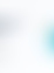 Managing Compliance Under Section 197 Without Errors