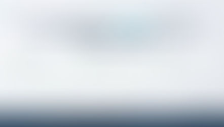 Why Applying for Form 13 Requires Expert Handling