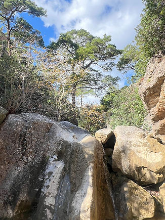 WhatsApp Image 2026-01-21 at 16.05.53 (2).jpeg