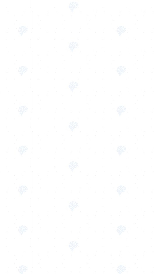 PATRONES-04.png
