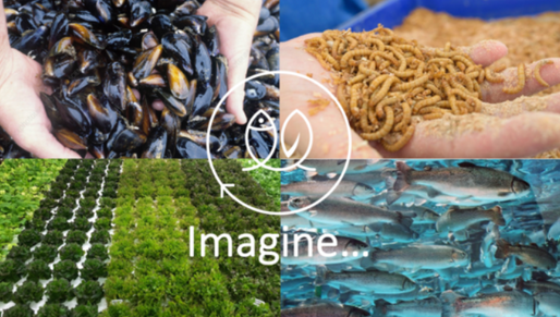 Johannas Stadsodlingar släpper sin programvara som öppen källkod