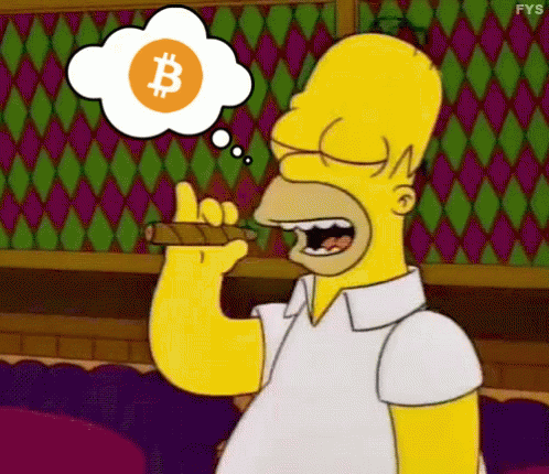 bitcoinburn.gif