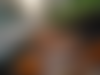 Effective Gutter Cleaning Tips for Your Home