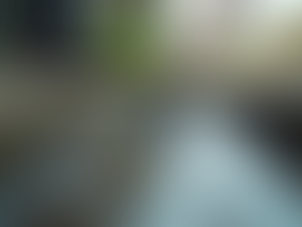 Steps to Clean the Outside of Gutters