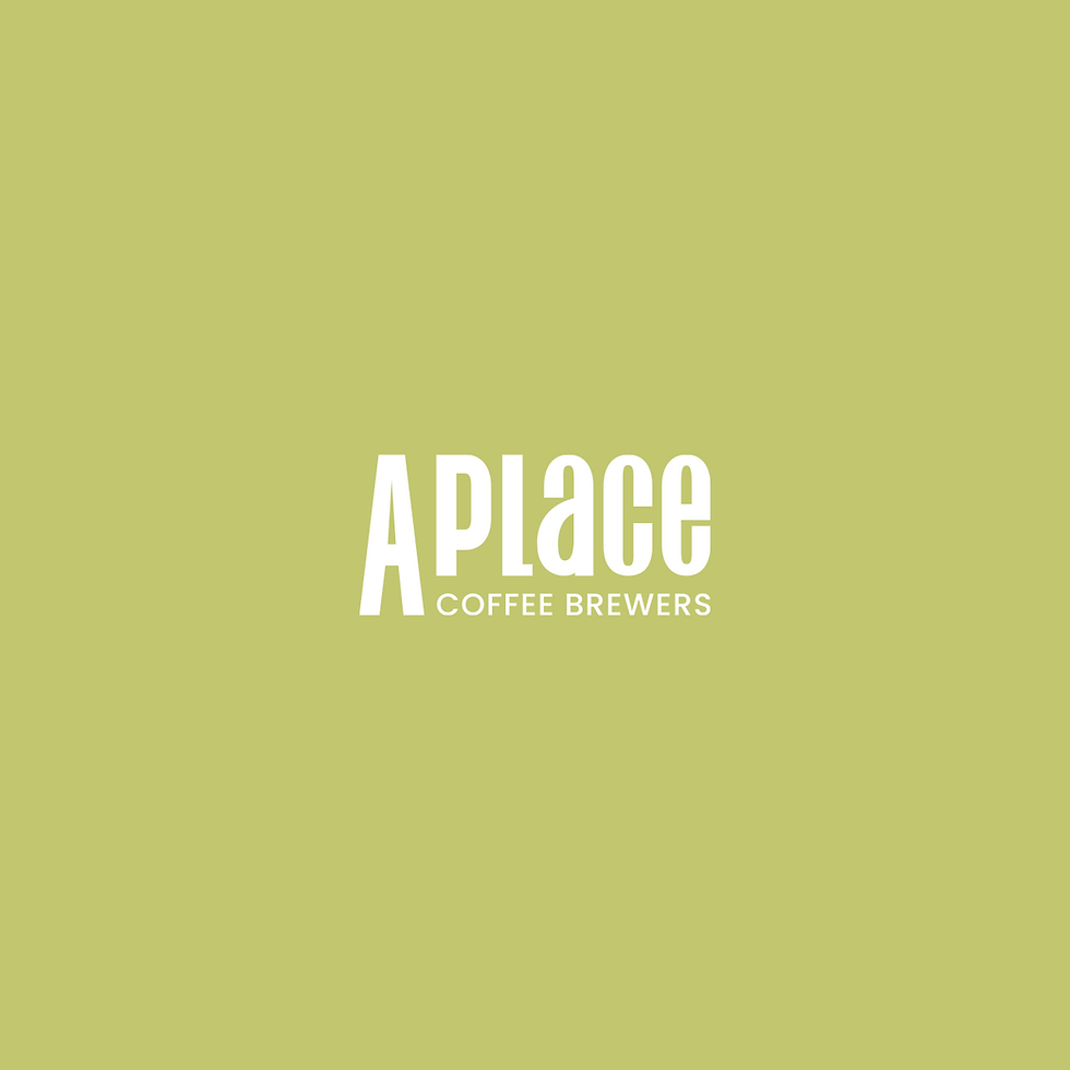 Logo APlace.png