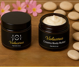 Sales Dem (7)_edited.jpg