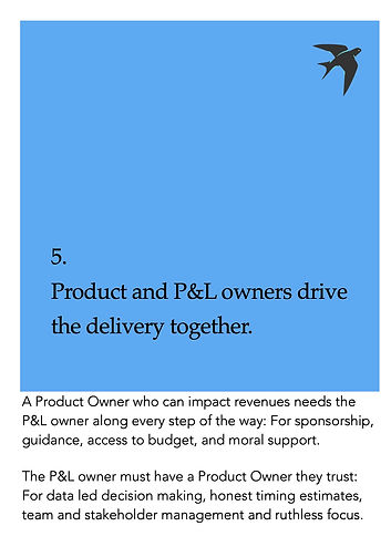IYP_#5.jpg