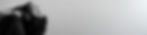 banner_website_2.jpg