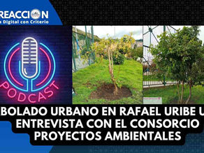 Arbolado Urbano en Rafael Uribe Uribe entrevista con el Consorcio Proyectos Ambientales