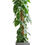 Thumbnail: Philodendron Scandens - Sweetheart Plant - Moss Pole