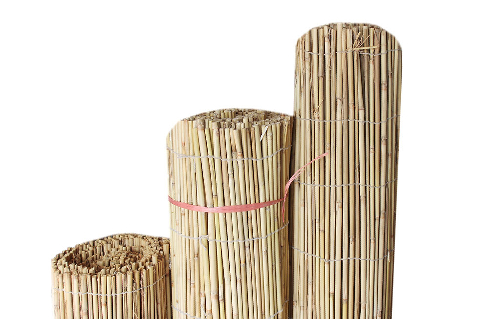 Thumbnail: Dry Grass Fence Roll – Natural Reed Fencing (Made in Pakistan)