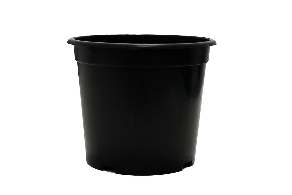 Black Nursery Pots – Set of 5