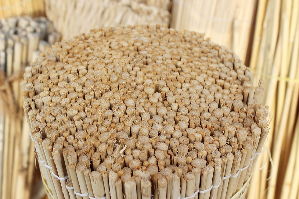Thumbnail: Dry Grass Fence Roll – Natural Reed Fencing ( Irani )