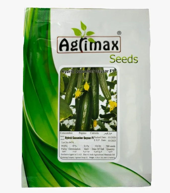 Agrimax Qaysar Cucumber F1 Hybrid Premium Quality Seeds