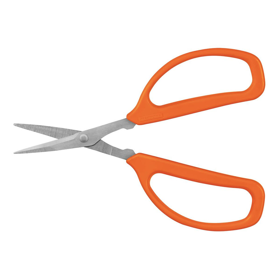 Thumbnail: FRUIT CATCHER PRUNER