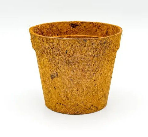 5 Eco Friendly Coir Pot Basket Small Size Seedling Cups for Plants (4-inch/9 cm)