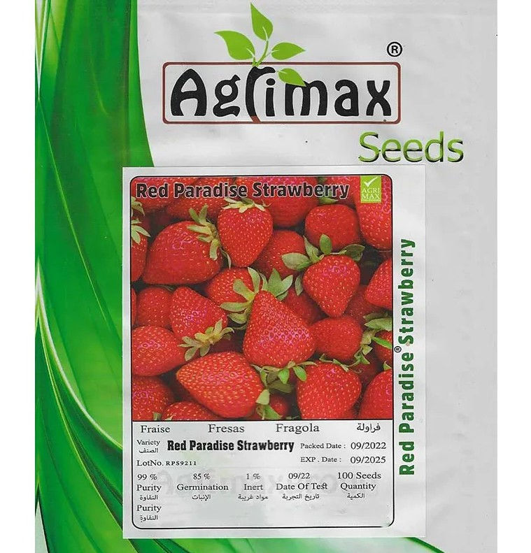 Agrimax Red Paradise Strawberry Premium Quality Seeds by Agrimax
