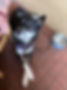 B6C6CD95-0D7C-440E-9F23-F41B0F03AB5C_1_105_c.jpeg