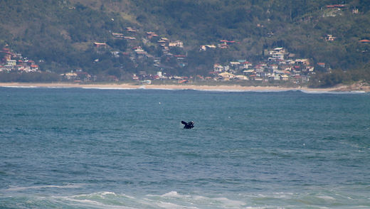 Evaluating the feasibility of a real estate project