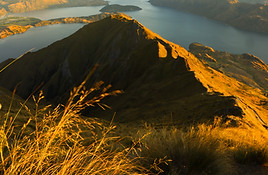 roys peak