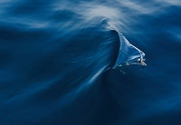 tiny wave