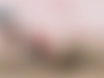 Tigers participate at State