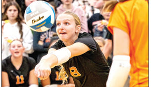 Tigers Wrap Up Season with Grit and Growth