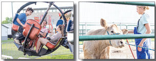 Fun at the County Fair