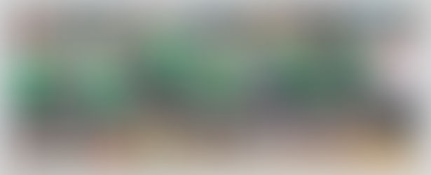 Pirates Sweep Sebeka to Advance to Sub-Section Championship