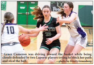 Pirates end season with loss to WHA