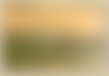 The Johnsons—a Family Story Written in Acres