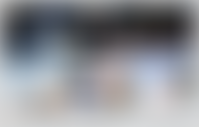 Browen, Pachan, Bruder and Miron represent LPGE-Browerville at State