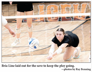 Tigers Ups and Downs in Homecoming Volleyball