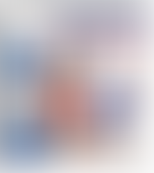 Hornets Sting the Bears