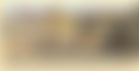 Work continues to make Nelson Park more accessible