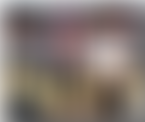 Honoring Our Veterans