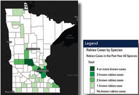 Protect Your Pets and Yourself from Rabies