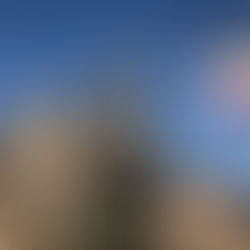 Une bouchée a day... Let the journey begin!